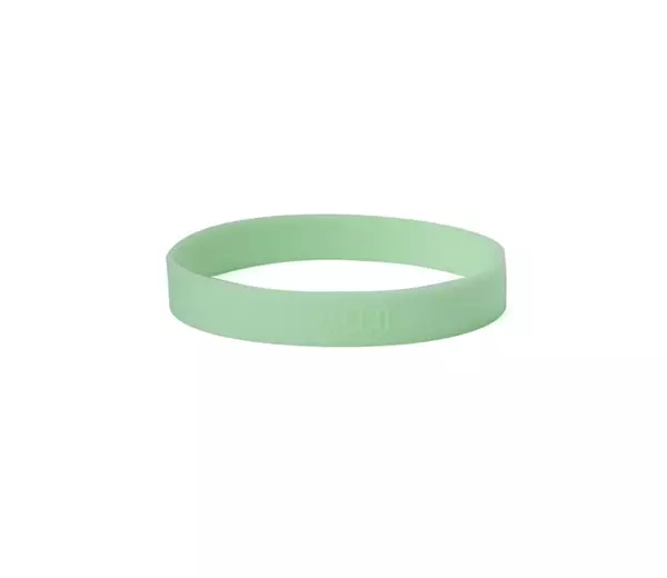 Imagem de PACCO ANEL SILICONE - MENTA (VERDE CLARO)