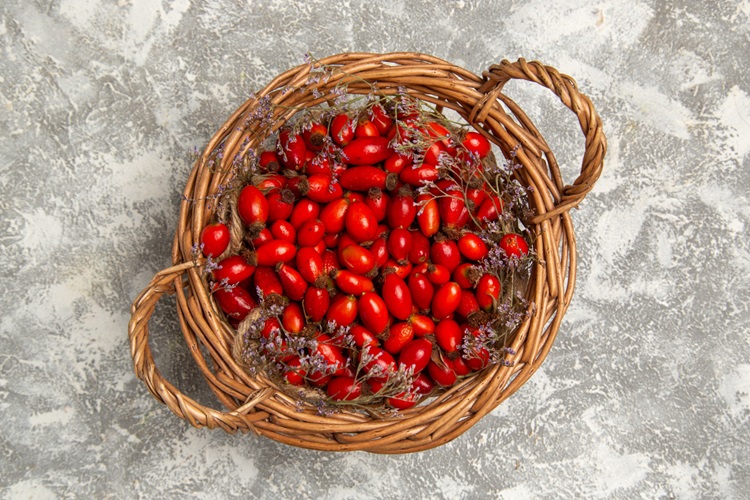 Berberina