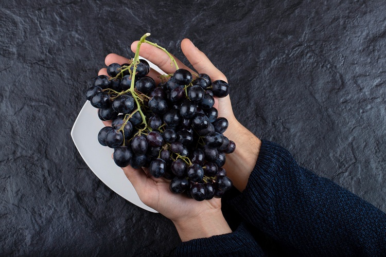 Resveratrol